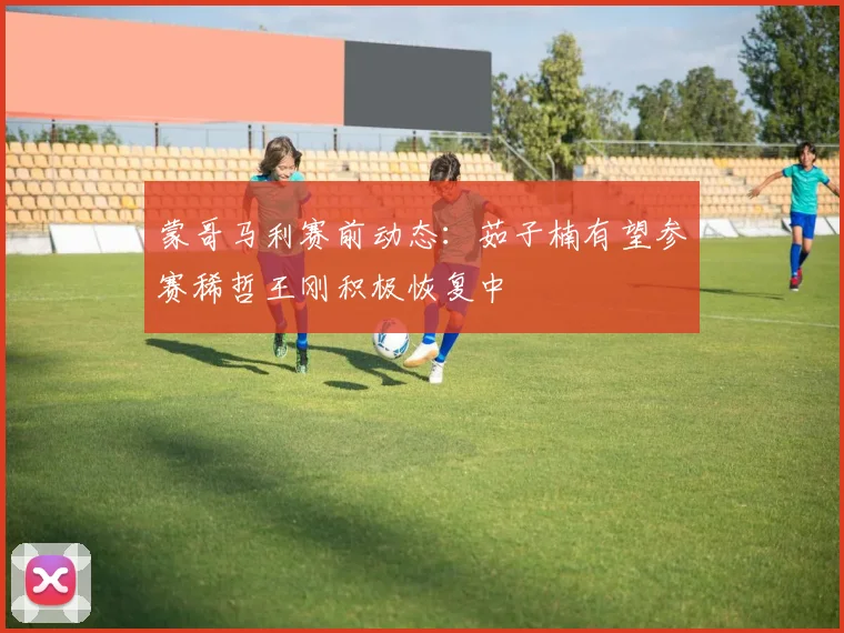 蒙哥马利赛前动态：茹子楠有望参赛稀哲王刚积极恢复中
